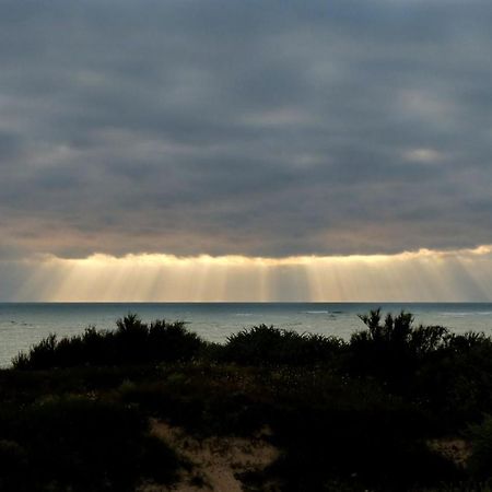 Hotel De La Petite Plage Saint-Georges-d'Oleron Eksteriør billede