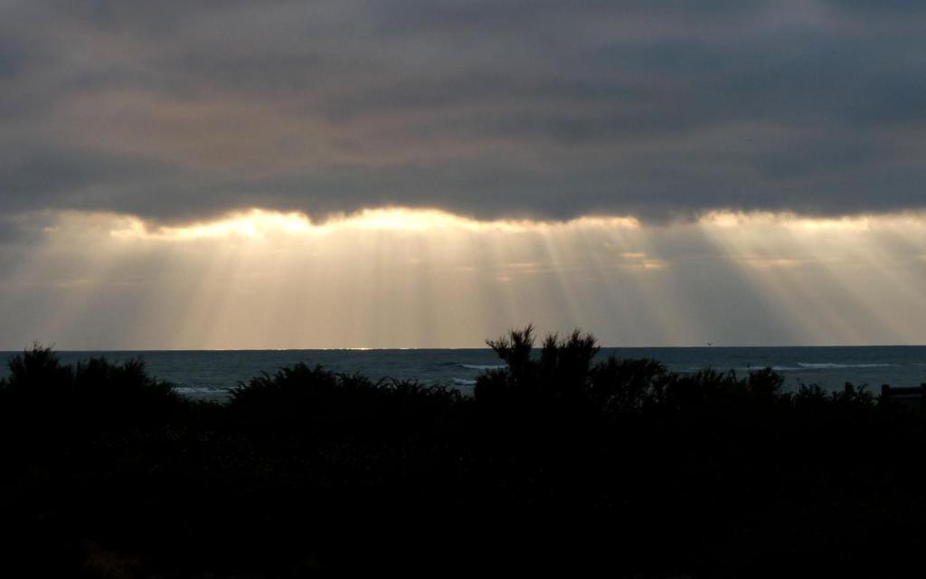 Hotel De La Petite Plage Saint-Georges-d'Oleron Eksteriør billede