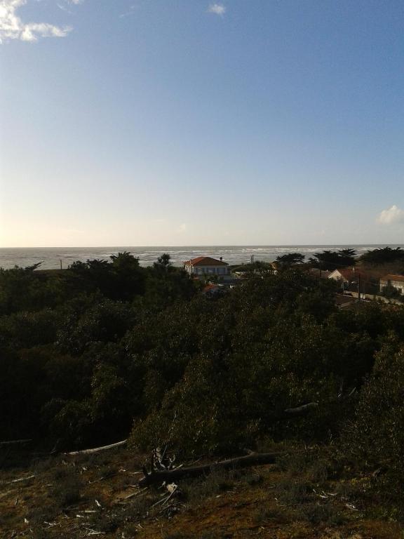 Hotel De La Petite Plage Saint-Georges-d'Oleron Eksteriør billede