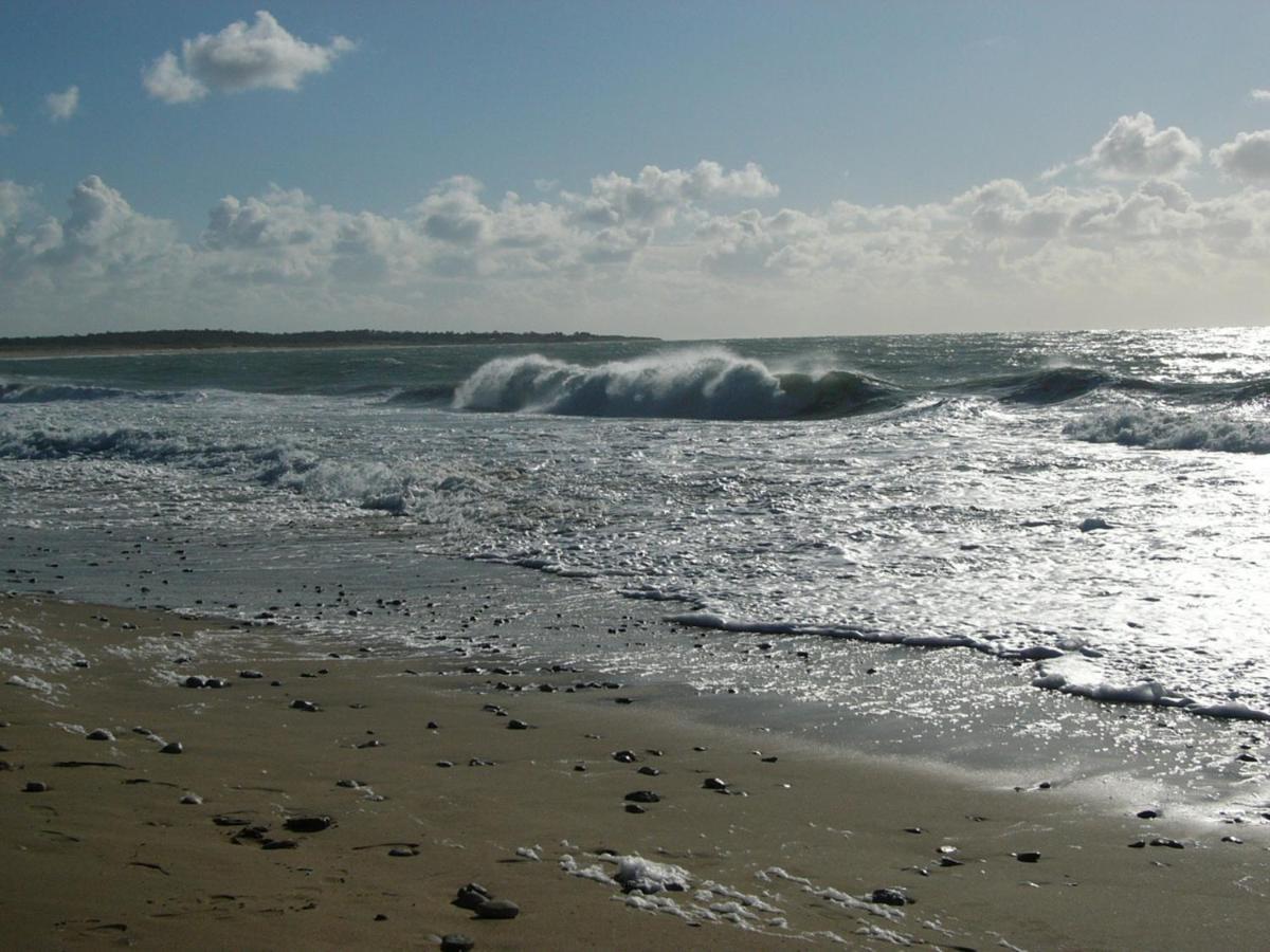 Hotel De La Petite Plage Saint-Georges-d'Oleron Eksteriør billede